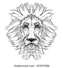 Lion vector illustration. Hand drawn vector sketch.