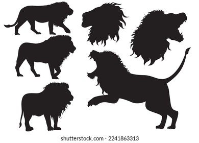 Lion vector. Illustration of the king of the jungle. Predators in the wild. Wild animal animals in the safari park