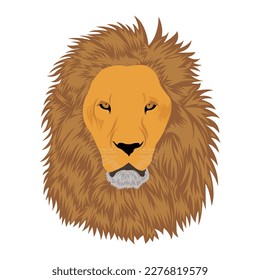 Ilustración vectorial de león con fondo blanco