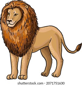 lion vector image on transparent background