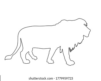 Lion vector line contour silhouette illustration isolated on white background. Animals king. Big cat. Pride of Africa. Lion zodiac symbol. Wildlife predator. 