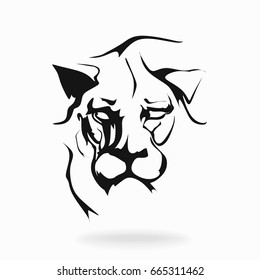 Lion, vector, on white background