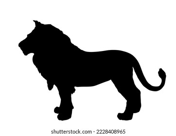 Lion vector silhouette illustration isolated on white background. Animal king shadow. Big cat. Pride of Africa. Leo zodiac symbol. Wildlife predator. Lion shape symbol. African big five member.