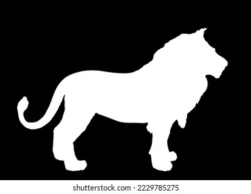 Lion vector silhouette illustration isolated on black background. Animal king. Big cat. Pride of Africa. Leo zodiac symbol. Wildlife predator. Lion shape shadow symbol. African big five member.