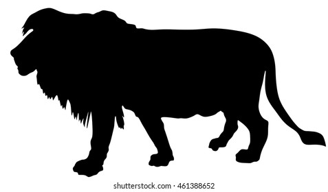 Lion vector silhouette illustration isolated on white background. Animal king shadow. Big cat. Pride of Africa. Leo zodiac symbol. Wildlife predator. Lion shape symbol. African big five member.
