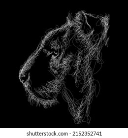 Ilustración de boceto vectorial de león, arte garabato