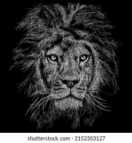 Ilustración de boceto vectorial de león, arte garabato