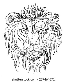 Lion, vintage engraved illustration. Earth before man - 1886.