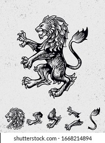 Lion vintage illustration editable and detailed