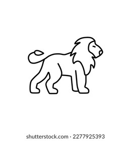 the lion walks leisurely and quietly
