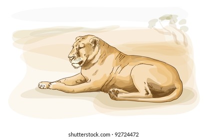 Lion. Watercolor style. Vector illustration.