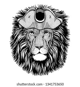 Lion wearing pirate tricorn hat. Capitan costume.