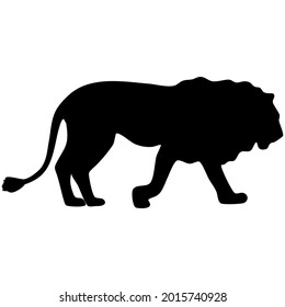 Lion wild African animal silhouette vector illustration in black.