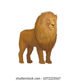 Lion wild african animal vector Illustration on a white background.