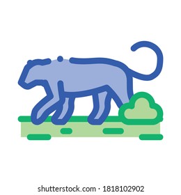 lion wild animal icon vector. lion wild animal sign. isolated contour symbol illustration