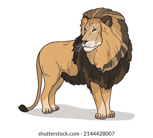 A lion is a wild animal living in nature, standing with a beautiful mane of the King of Beasts. Vector illustration