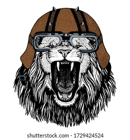 Lion. Wild animal portrait. Face of african cat. Motorcycle helmet.