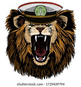 Lion. Wild animal portrait. Face of african cat.