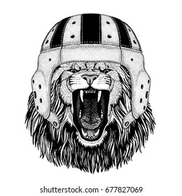 Lion Wild animal wearing rugby helmet Sport illustration