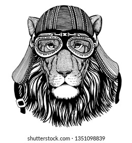 Lion wild biker animal wearing motorcycle helmet. Hand drawn image for tattoo, emblem, badge, logo, patch, t-shirt.