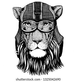 Lion, wild cat Animal wearing motorycle helmet. Image for kindergarten children clothing, kids. T-shirt, tattoo, emblem, badge, logo, patch