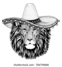 Lion Wild cat wearing sombero Vector illustration Old classic vintage style illustration for t-shirt, poster, banner, embem, badge, tattoo, zoo