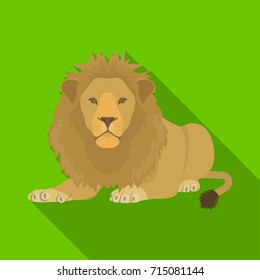 A lion, a wild and ferocious predator. Leo, the king of beasts single icon in flat style vector symbol stock illustration web.