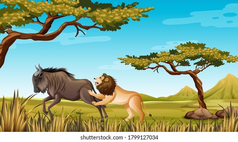 Lion and wildebeest in nature backgroud illustration