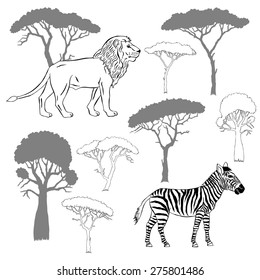 Lion, zebra and savanna trees. Vector Illustration