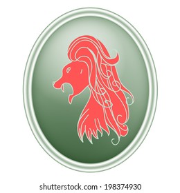 Lion zodiac sign in oval frame.Vector Illustration