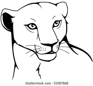 lioness