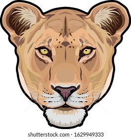 Lioness animal cute face. Vector African wild lion cat head portrait. Realistic fur portrait of lioness