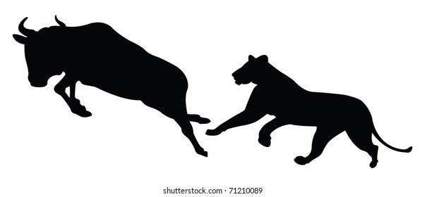 Lioness attacking to atelope