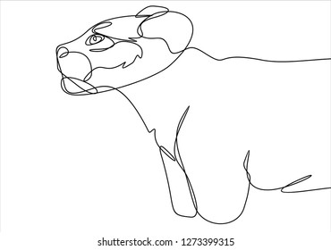 Lioness. Continuous line