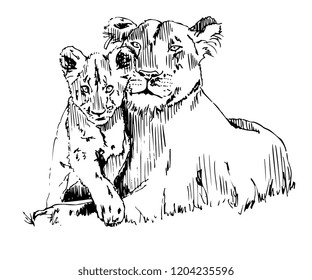 Free Free 207 Lion And Lioness Svg SVG PNG EPS DXF File