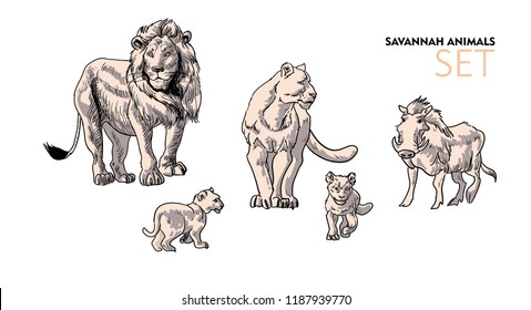 Lioness with cubs, lion, warthog. Vector illustration set isolated on background. Safari, grasy plains animals.