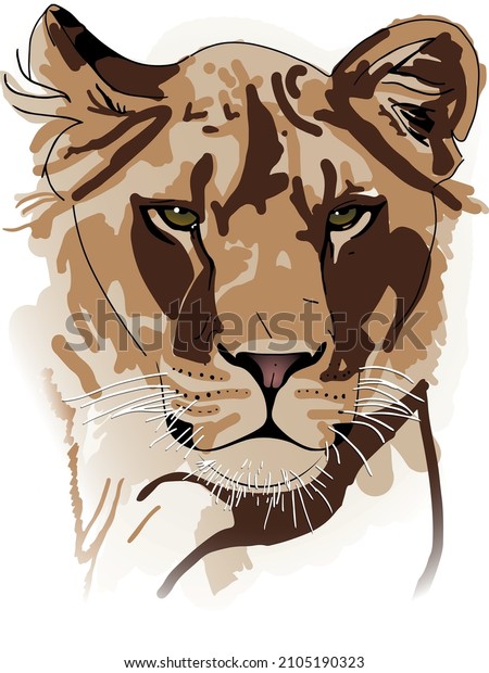 Lioness drawing colored, Vector illustration isolated on the white background. Wallpaper for walls. 