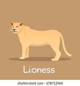 Lioness flat vector African wildlife. Wild animal illustration