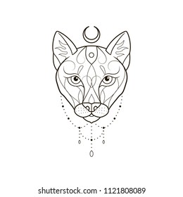 Lioness head on white background. Ornamental wild cat. Graphic sketch for tattoo, poster, clothes, t-shirt design, coloring book.