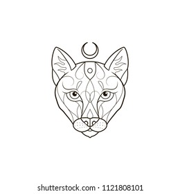 Lioness head on white background. Ornamental wild cat. Graphic sketch for tattoo, poster, clothes, t-shirt design, coloring book.