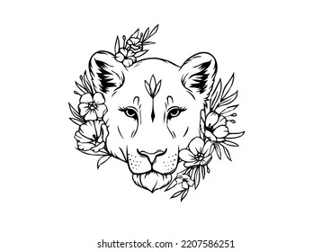 Lioness Head Vector, On White