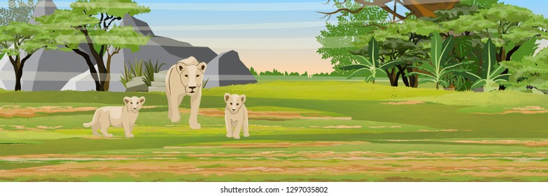 A lioness and her two cubs in the African savannah. African bush Jungle and mountains. Wild animals of Africa. Realistic Vector Landscape