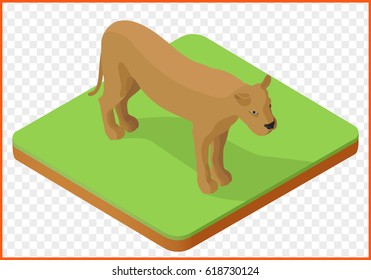 lioness isometric isolated on transparent background vector.