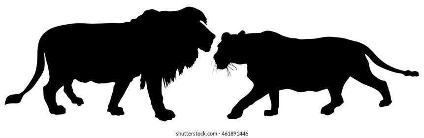 Lioness and lion in love, vector silhouette illustration isolated on white background.
