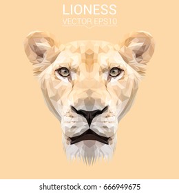 Lioness low poly design.Vector Illustration.