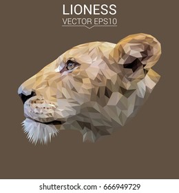 Lioness Low Poly Design.Vector Illustration.