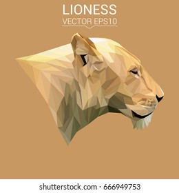Lioness low poly design.Vector Illustration.