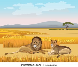 The lioness and the male lion lay in the savanna against the background of the mountains. Vector illustration