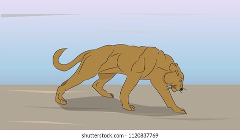 lioness on nature, vector