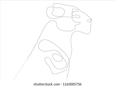 Lioness portrait. Continuous line